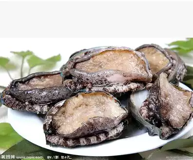 Beijing area flash direct to Dalian seafood fresh abalone Dalian Bao only fresh