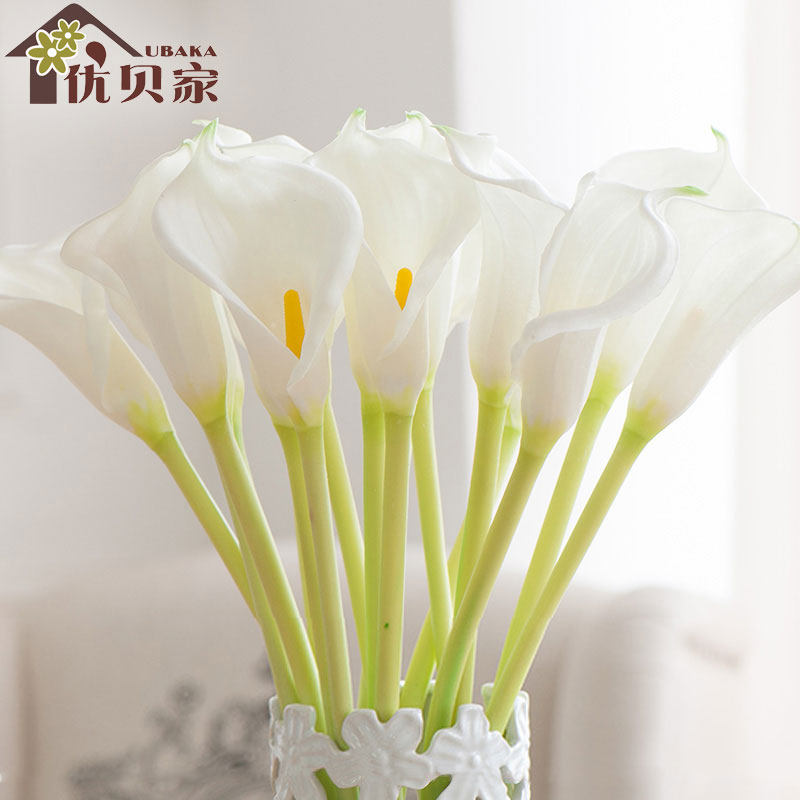 �ű��Ҵ�����������滨