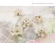 Weimeisen nữ cherry tiara kẹp tóc clip clip từ clip kẹp tóc trẻ em hình ảnh cô dâu đầu hoa phụ kiện tóc - Phụ kiện tóc