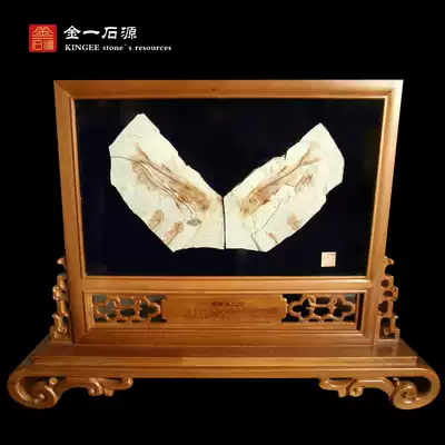 Natural paleontological fossils of wolffin fish in Western Liaoning, animal fossils, raw stone specimens, strange stone, solid wood screen
