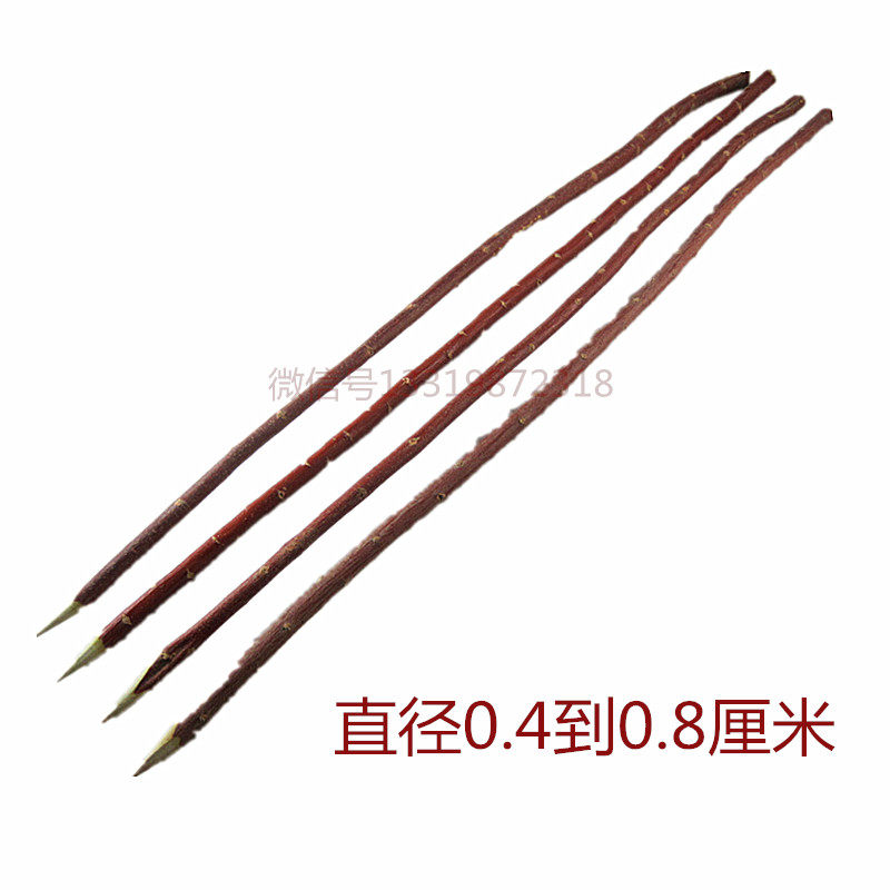 Xinjiang wild red willow branch barbecue wooden stick 40 cm long natural plant barbecue lamb skewer roast needle brazing tool