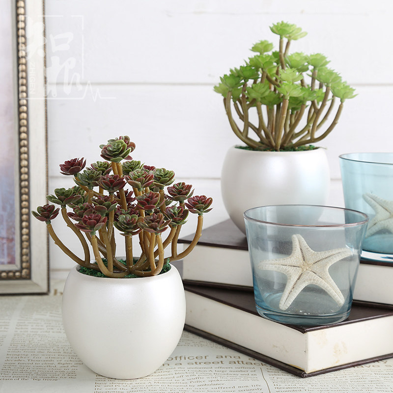 ֪���߷���ֲ���辰TZ-379