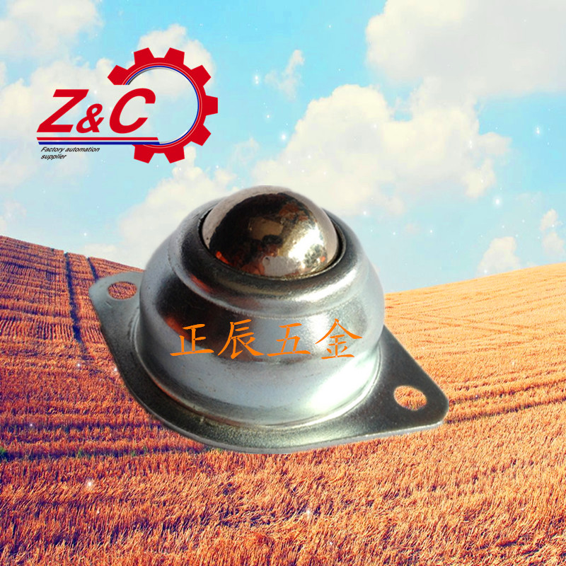 (Boutique) Stamped Flange Mounted Steel Ball Roller BCHY69