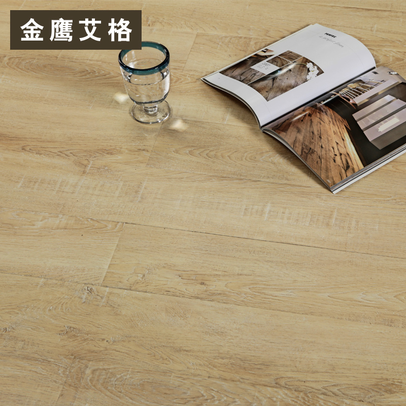 ��ӥ����ʵľ���ϵذ�DQ1609