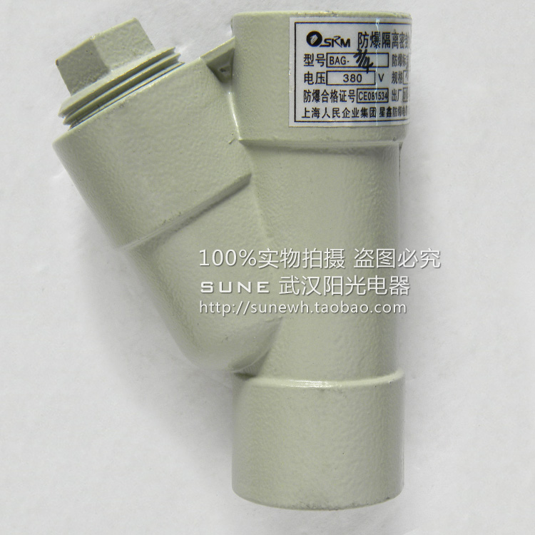 Explosion-proof isolated sealing case BAG-ZI-G3 4 Y type DN20