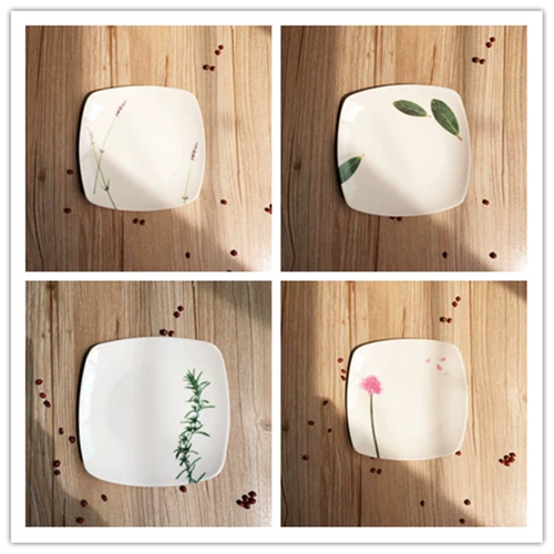 Laamys inoue Huimei Compoperation yama.ka Exit Ceramic Band