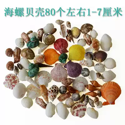 Special offer Conch shell coral package Fish tank floor Wedding Mediterranean shooting props decoration direct sales