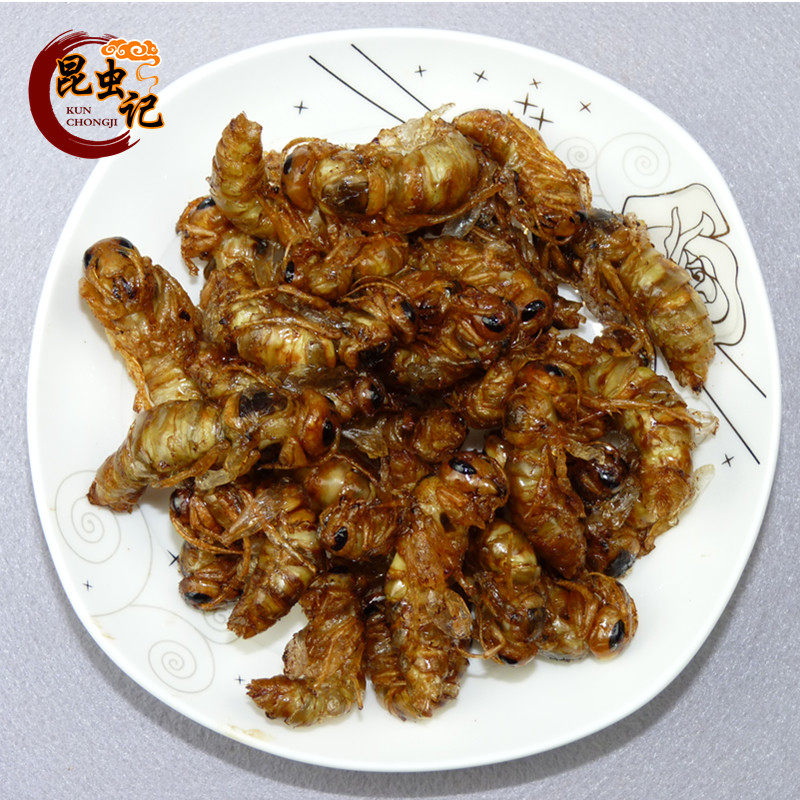 White bee pupa, tender bee pupa, hornet pupa, insect 50g, insect record