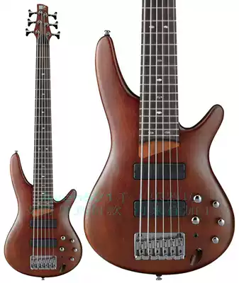 Customized Ibanezs SR506 6-string electric bass