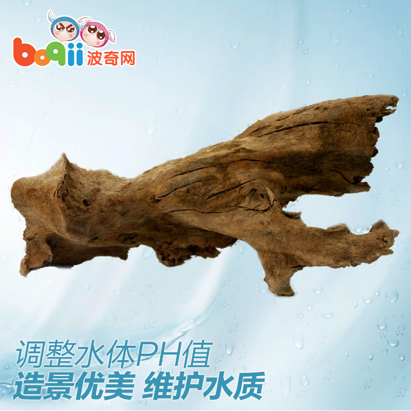 波奇网 新加坡仟湖傲深杀菌处理流木杀菌消毒处理流木不黄水虾木