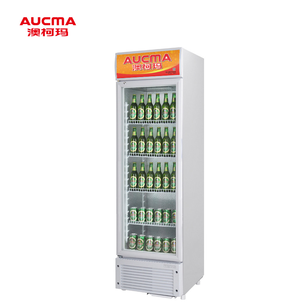 �Ŀ���������ʽչʾ��SC-237