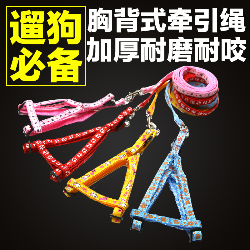 贴花狗狗牵引绳小型犬胸背带狗带遛狗绳子泰迪狗链子项圈宠物用品
