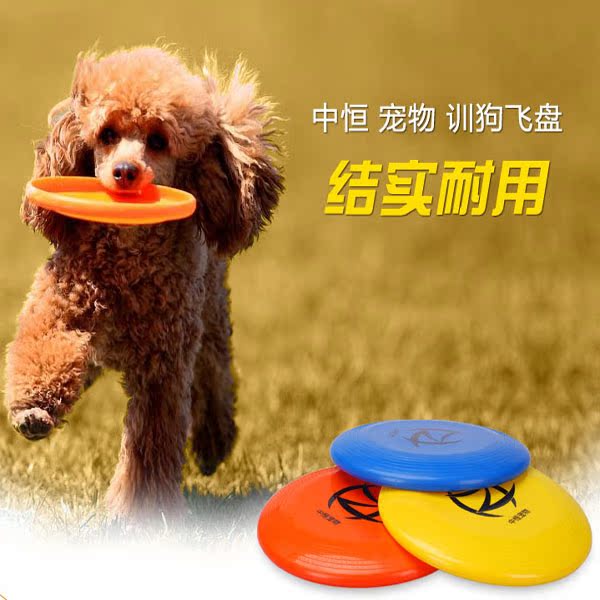 中恒狗玩具飞盘  比赛标准飞盘狗专用耐咬硅胶飞盘多种颜色随机