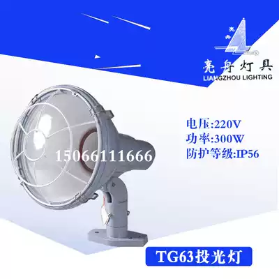 Shanghai Liangzhou marine aluminum alloy flood light TG63 64 65 66 incandescent lamp reflective light 300 500W