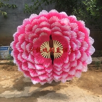 Opening dance Peony fan Large petal dance fan Square dance Group exercise activity props Stage performance fan