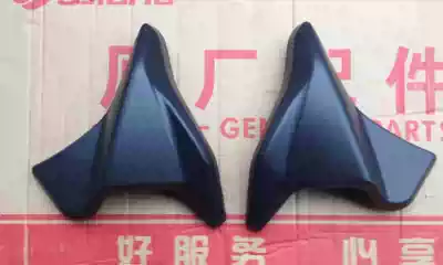 Motorcycle accessories Royal dragon QJ125-26 125-26A left and right tank guard decorative board