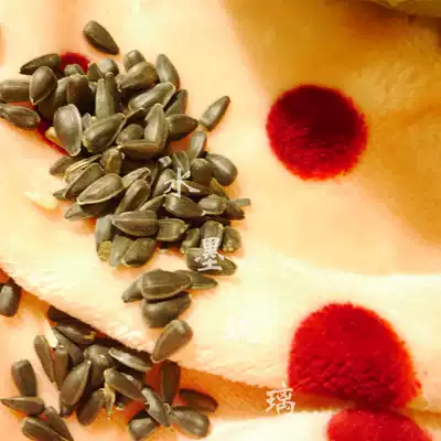 (Raw)Natural Small Black Melon Seeds Pearl Melon Seeds Devil Squirrel Parrot Ration 500g