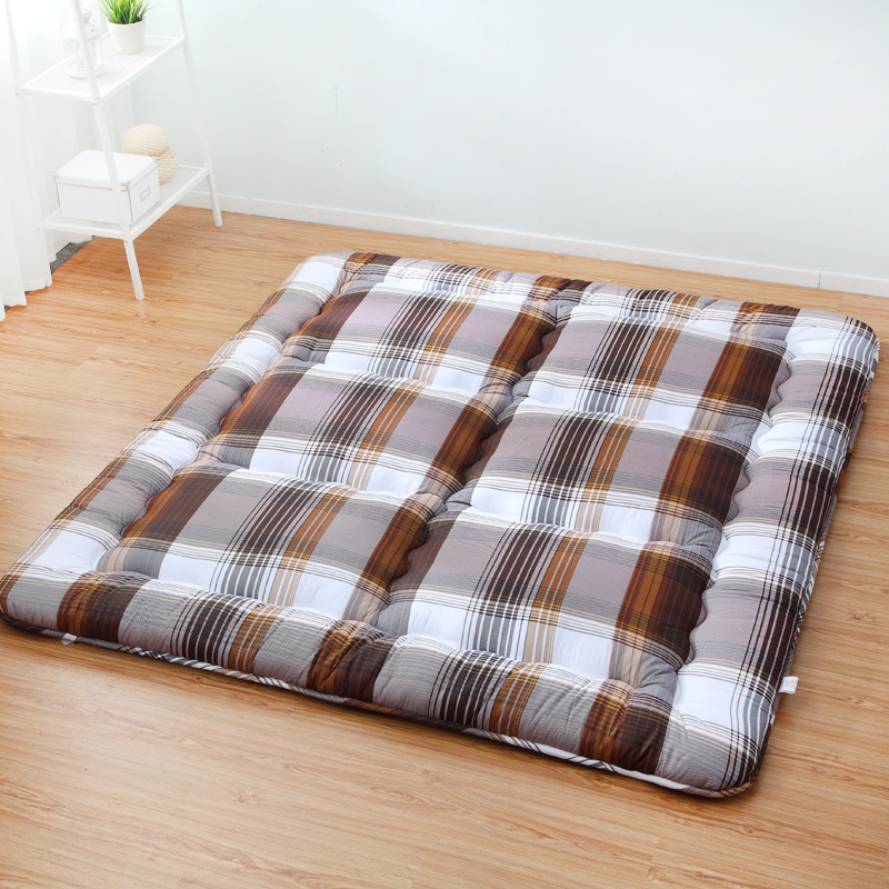 ɣ�����ҵص洲����2.2*2.4