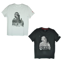 Li Ning Wade short sleeve mens T-shirt 2017 summer new Chicago home short sleeve culture shirt AHSM213-2-3