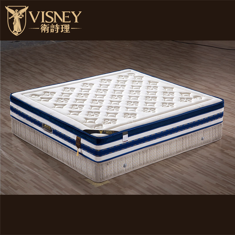 Visney31036A3