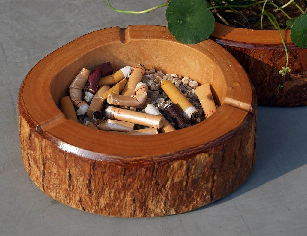Root Carving tobacco Ashtray Fragrant wood solid wood green planting small flower pots Low price Living room Office Personality Creative Tobacco Ashtray