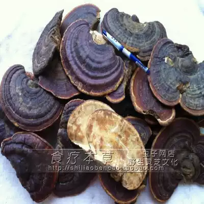 Wild Ganoderma Lucidum Hainan Wild Ganoderma Lucidum Sessile Red Zhi Sessile Ganoderma Lucidum Wild Sessile Red Zhi Mid Flower 250g