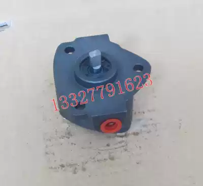 Small triangle cycloid miniature oil pump TOP-13A TOP-12A TOP-11A lubrication pump Miniature hydraulic pump