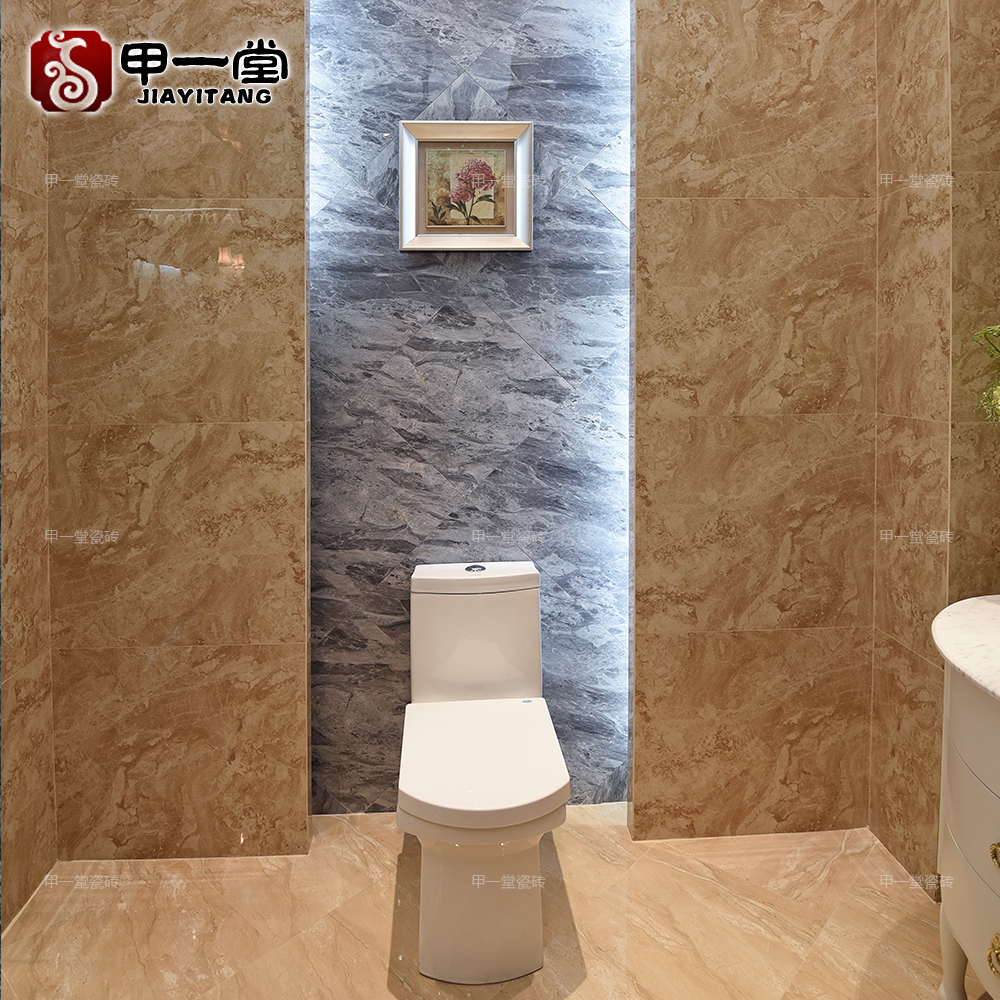 ��һ�ô�ש����ʯDLSCZ19