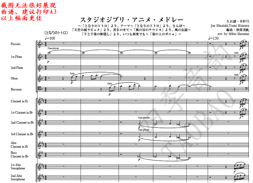 Joe Hisaishi Hayao Miyazaki Animation Music Wind Score (City in the Sky, My Neighbor Totoro, Spirited Away, etc.) Audio