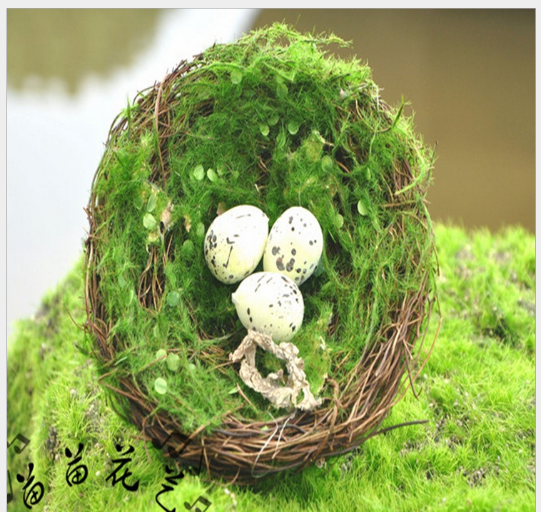 Emulated bird nest bird mayoncé choreography nest simulation flower vine choreography nest bird nest Nest Egg Nest Egg