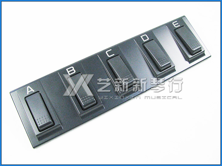 Korg EC5 Control Pedal (for PA4X Series Synthesizers)