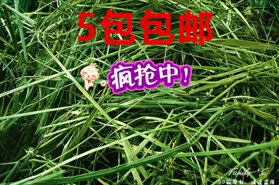 (Co Majia forage) 5 packs*21 years pure hand-selected high-quality Timothy grass without withered grass 500g