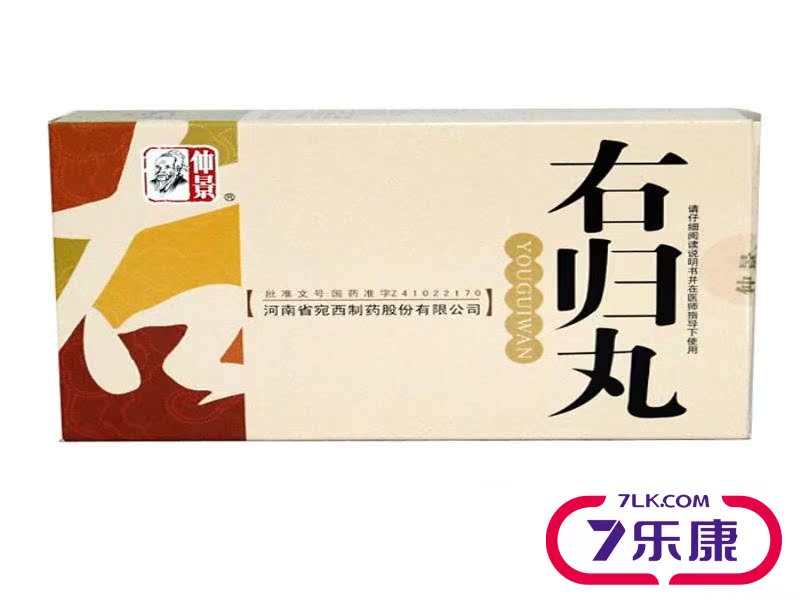 仲景 右归丸 9g*9袋/盒