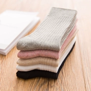 Vớ nữ cỡ lớn vớ cotton ống mùa thu và mùa đông Mô hình bông khử mùi thịt màu eo dài cộng với phân bón tăng 41-43 yard