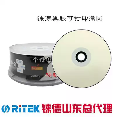 Jude vinyl printable CD blank disk burning disk vinyl CD printable pattern