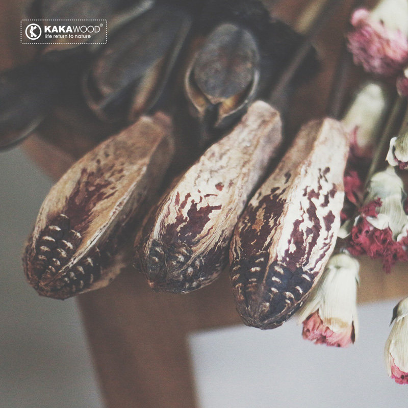 kkw��װ�Ҿ���Ʒֲ����Ȼ�ɻ�