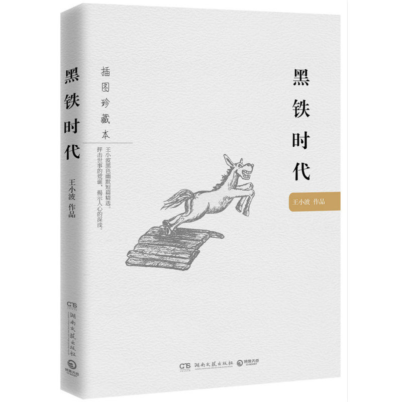 黑铁时代(插图珍藏本) 正版图书 王小波