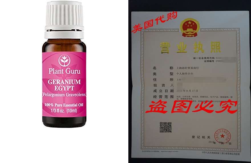 Geranium Egptessentil Oeil 10 ml 100% Pure Undiluted
