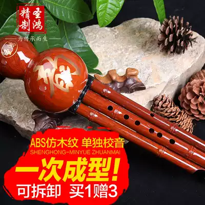 Shenghong ABS imitation wood grain Bakelite adjustable sound cucurbit drop B C G F tune beginner instrument gifts