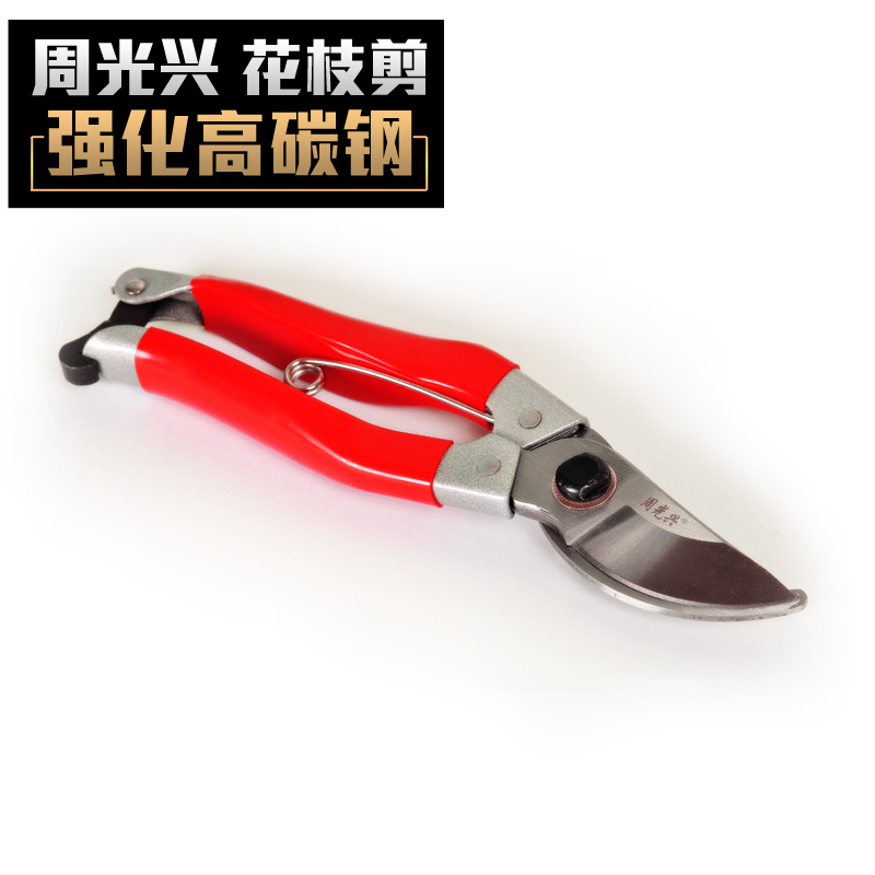 �ܹ��˹���԰�ּ�����֦��