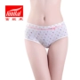 Fu Nilai quần lót nữ cotton giữa tăng cám dỗ gợi cảm Lycra in quần lót nữ quần short quần lót ren siêu mỏng