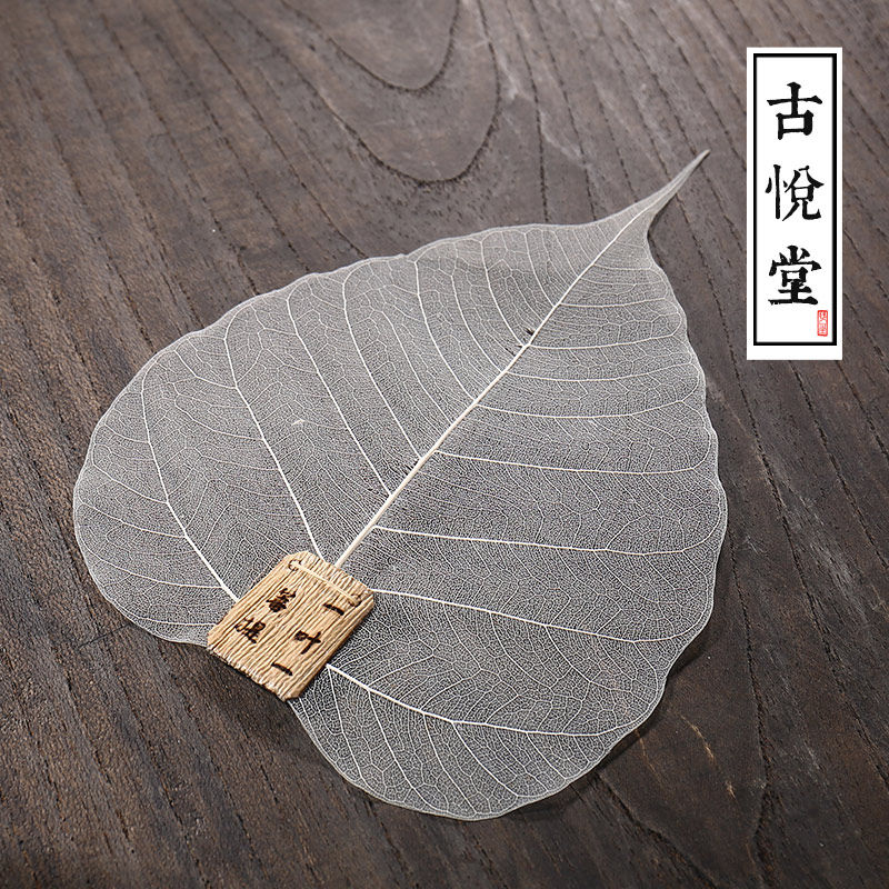 �����ù���������Ҷ��©