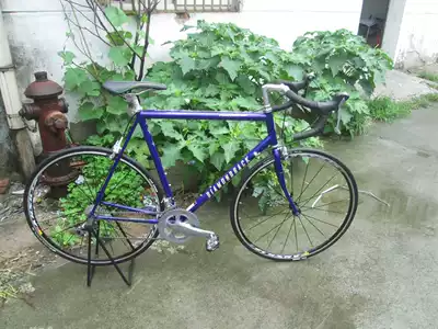 Dai name DIAMDNDBACK highway WCF carbon fiber 20-speed Dame carbon rack road car 20 years Limited Collection edition