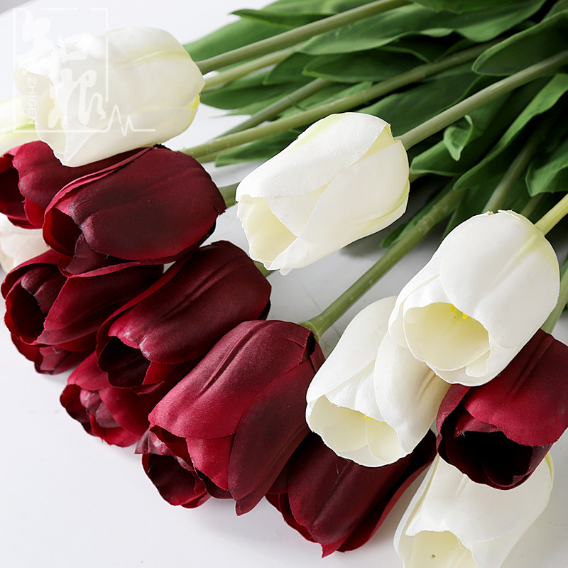 ֪���߷��滨������YJX-005