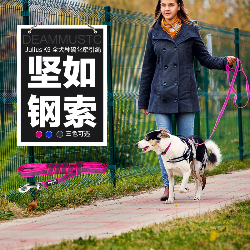 Julius K9 狗狗牵引绳 泰迪金毛小中大型犬狗链子狗绳硫化牵引绳