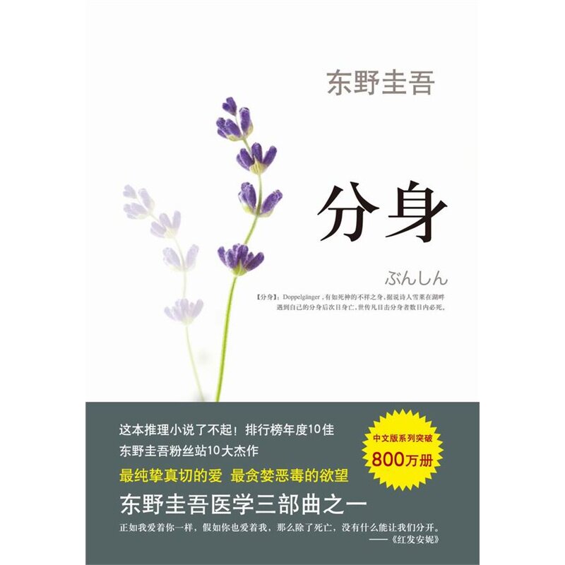 分身 正版图书 (日)东野圭吾|译者:王维幸