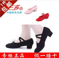 пуанты Три Лизы холст обувь учителей