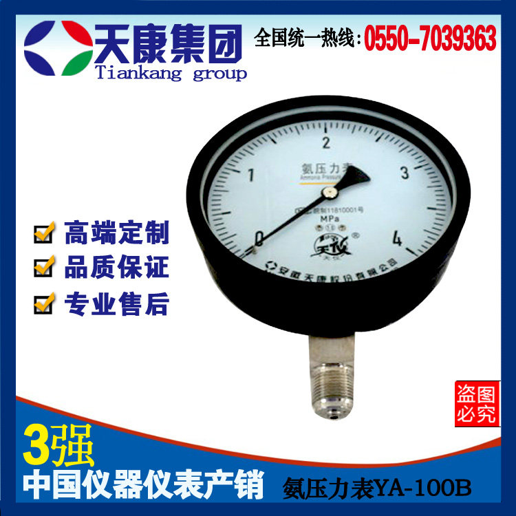 Anhui Tiankang Group Ammonia Pressure Gas YA - 100 Ammonia Special Pressure Meter Manufacturer Direct Sales