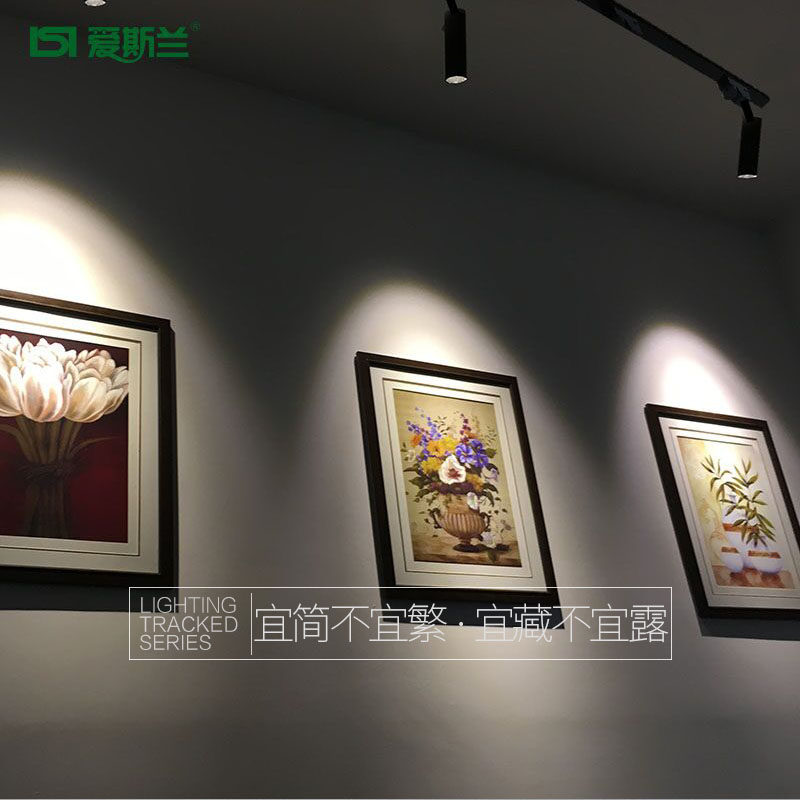 ��˹��led������XSD100-1