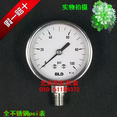 Beijing Brady BLD] Stainless Steel Pressure Gauge YTF-63H Psi YTF-100H Psi